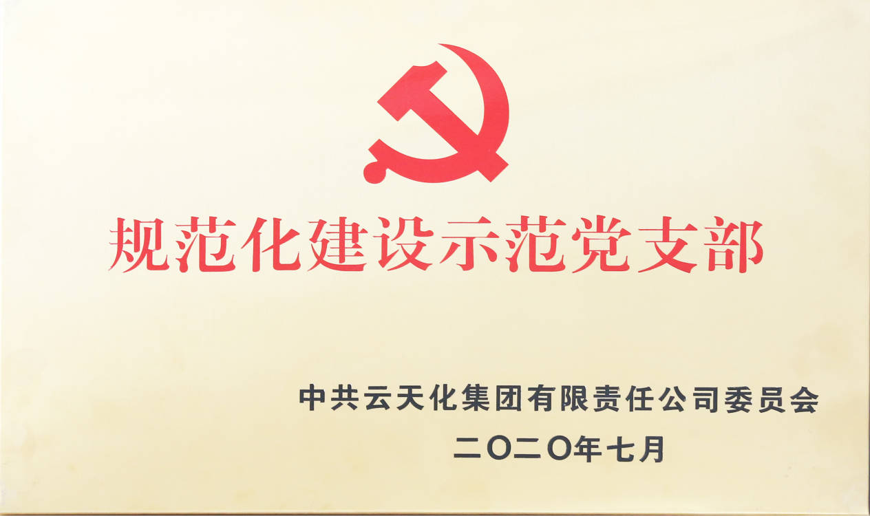 云天化示范党支部